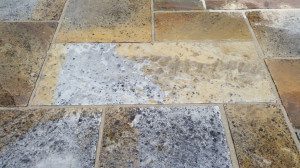 Removing Lichen
