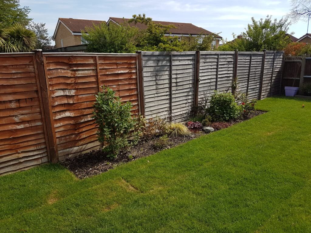 Tired Looking Fence