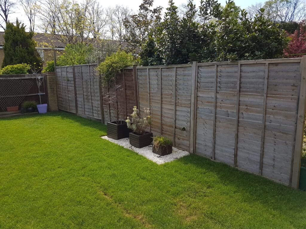 Solid Fence but Looking Tired