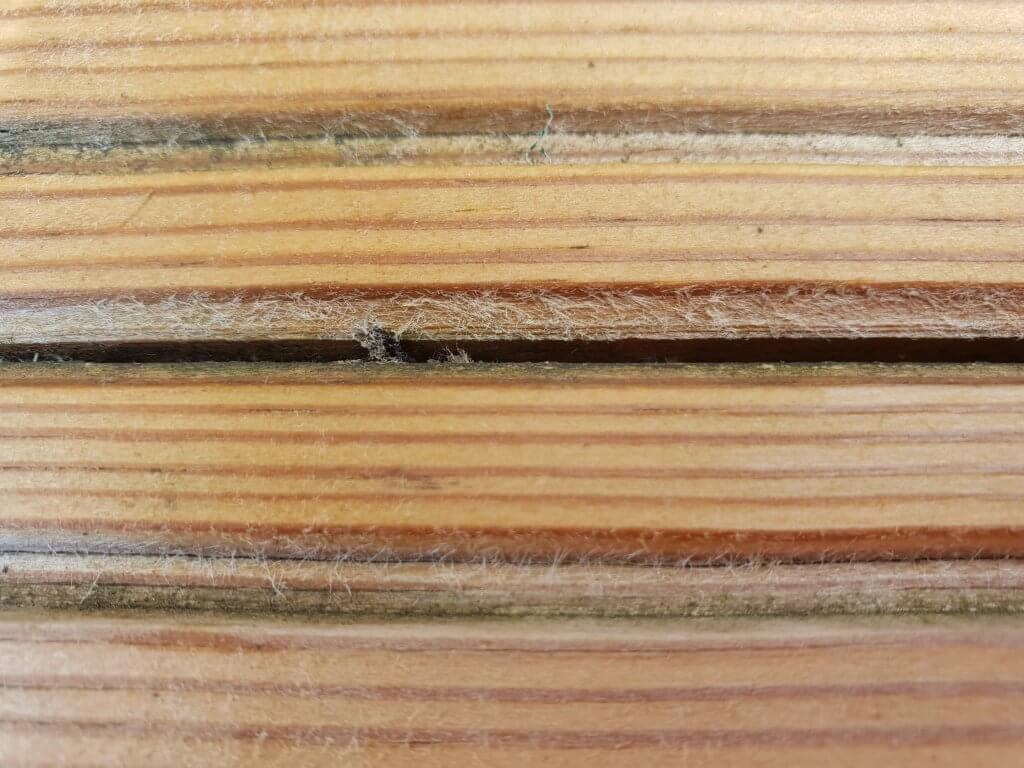 Decking cleaning and treating Bromley, Kent