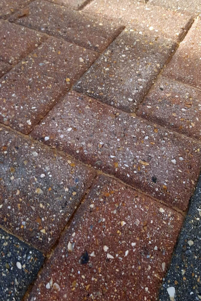 Blooms on a Sealed Driveway