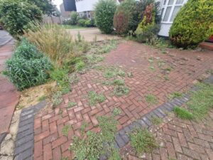 Driveway weed & moss removal Bromley